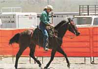 5th annual Women of the West Performance Horse Sale