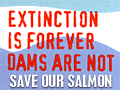 Save our Salmon